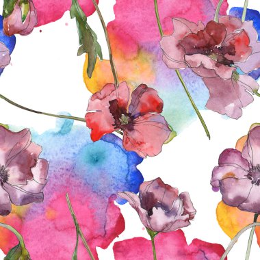 Mor kırmızı haşhaş botanik çiçek. Vahşi bahar yaprak izole. Suluboya resim kümesi. Suluboya çizim moda aquarelle. Sorunsuz arka plan deseni. Kumaş duvar kağıdı yazdırma doku.