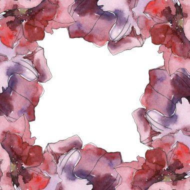 Mor kırmızı haşhaş botanik çiçek. Vahşi bahar yaprak izole kır çiçeği. Suluboya arka plan illüstrasyon küme. Suluboya çizim moda aquarelle izole. Çerçeve kenarlığı süsleme Meydanı.