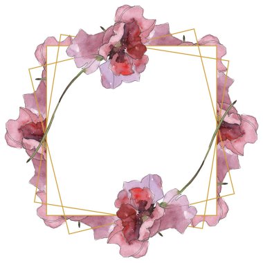 Mor kırmızı haşhaş botanik çiçek. Vahşi bahar yaprak izole kır çiçeği. Suluboya arka plan illüstrasyon küme. Suluboya çizim moda aquarelle izole. Çerçeve kenarlığı süsleme Meydanı.