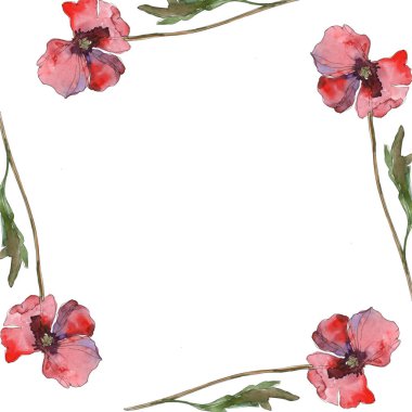Mor kırmızı haşhaş botanik çiçek. Vahşi bahar yaprak izole kır çiçeği. Suluboya arka plan illüstrasyon küme. Suluboya çizim moda aquarelle izole. Çerçeve kenarlığı süsleme Meydanı.