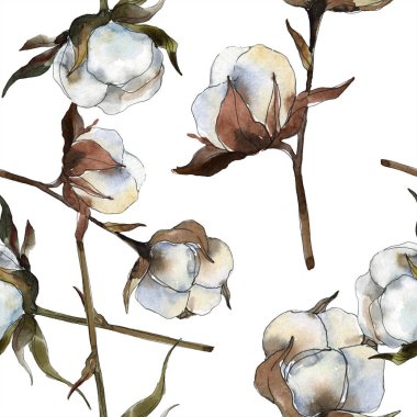 Pamuk botanik çiçek. Suluboya arka plan illüstrasyon küme. Suluboya çizim moda aquarelle izole. Sorunsuz arka plan deseni. Kumaş duvar kağıdı yazdırma doku.