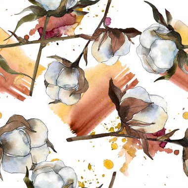 Pamuk botanik çiçek. Suluboya arka plan illüstrasyon küme. Suluboya çizim moda aquarelle izole. Sorunsuz arka plan deseni. Kumaş duvar kağıdı yazdırma doku.