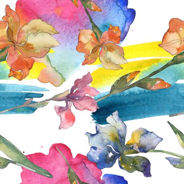Mor, kırmızı, turuncu ve mavi süsen botanik çiçek. Suluboya arka plan ayarlamak. Suluboya çizim moda aquarelle. Sorunsuz arka plan deseni. Kumaş duvar kağıdı yazdırma doku.