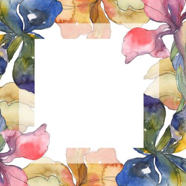 Mor, kırmızı, turuncu ve mavi süsen botanik çiçek. Vahşi bahar yaprak kır çiçeği. Suluboya arka plan ayarlamak. Suluboya çizim moda aquarelle izole. Çerçeve kenarlığı süsleme Meydanı.