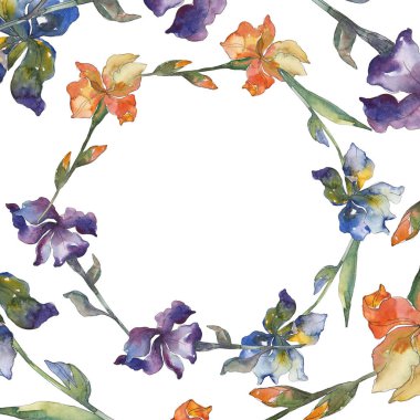 Turuncu, mavi ve mor Süsen. Botanik çiçek. Vahşi bahar yaprak izole. Suluboya arka plan illüstrasyon küme. Suluboya çizim moda aquarelle. Çerçeve kenarlığı süsleme Meydanı.