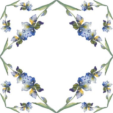 Mavi Iris. Botanik çiçek. Vahşi bahar yaprak izole kır çiçeği. Suluboya arka plan illüstrasyon küme. Suluboya çizim moda aquarelle izole. Çerçeve kenarlığı süsleme Meydanı.