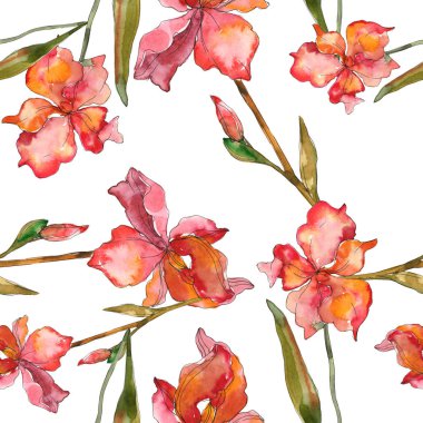 Kırmızı ve mor Süsen. Suluboya resim kümesi. Sorunsuz arka plan deseni. Kumaş duvar kağıdı yazdırma doku.