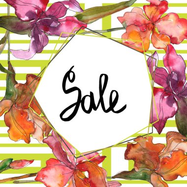 Kırmızı ve mor botanik çiçek. Vahşi bahar yaprak izole kır çiçeği. Suluboya arka plan illüstrasyon küme. Suluboya çizim moda aquarelle izole. Çerçeve kenarlığı süsleme Meydanı.