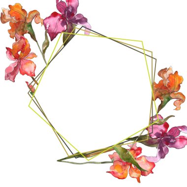 Kırmızı ve mor botanik çiçek. Vahşi bahar yaprak izole kır çiçeği. Suluboya arka plan illüstrasyon küme. Suluboya çizim moda aquarelle izole. Çerçeve kenarlığı süsleme Meydanı.