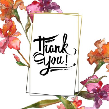 Kırmızı ve mor botanik çiçek. Vahşi bahar yaprak izole kır çiçeği. Suluboya arka plan illüstrasyon küme. Suluboya çizim moda aquarelle izole. Çerçeve kenarlığı süsleme Meydanı.