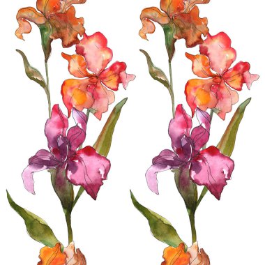 Kırmızı ve mor botanik çiçek. Vahşi bahar yaprak izole kır çiçeği. Suluboya arka plan illüstrasyon küme. Suluboya çizim moda aquarelle izole. Çerçeve kenarlığı süsleme Meydanı.