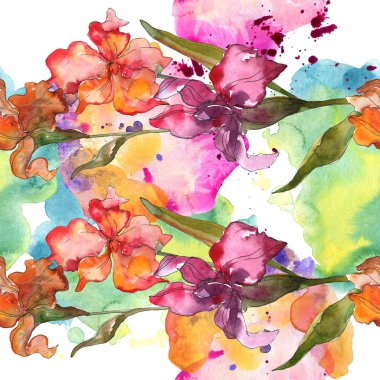 Kırmızı ve mor Süsen. Suluboya resim kümesi. Sorunsuz arka plan deseni. Kumaş duvar kağıdı yazdırma doku.