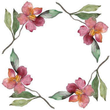 Kamelya kırmızı ve mor çiçekler. Suluboya arka plan illüstrasyon küme. Çerçeve kenarlığı süsleme kopya alanı ile.