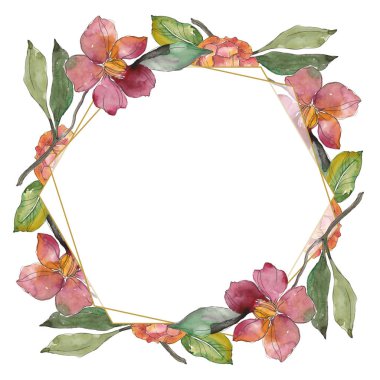 Kamelya kırmızı ve mor çiçekler. Suluboya arka plan illüstrasyon küme. Çerçeve kenarlığı süsleme kopya alanı ile.