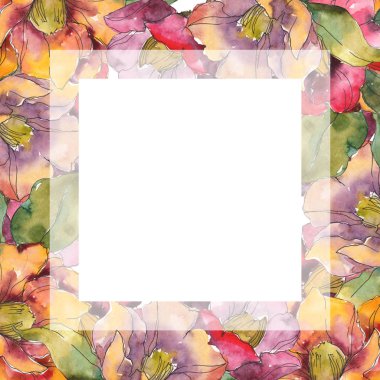 Yeşil çiçekli izole kırmızı ve turuncu Kamelya çiçekler. Suluboya resim kümesi. Çerçeve kenarlığı kare süsleme kopya alanı ile.
