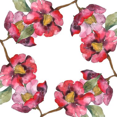 Yeşil çiçekli izole kırmızı Kamelya çiçekler. Suluboya resim kümesi. Çerçeve kenarlığı süsleme kopya alanı ile.