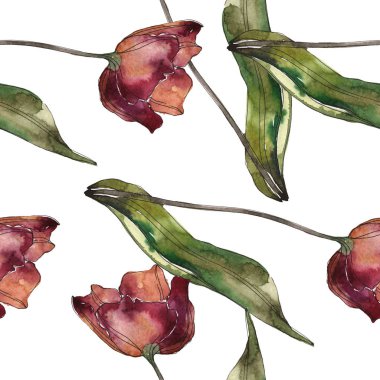 Yaprakları ile izole haşhaş kırmızı ve bordo. Suluboya resim kümesi. Sorunsuz arka plan deseni.