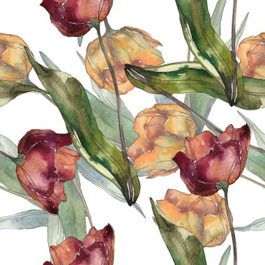 Turuncu ve kırmızı yaprakları ile haşhaş izole. Suluboya resim kümesi. Sorunsuz arka plan deseni.