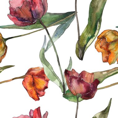 Yaprakları ile izole haşhaş kırmızı ve turuncu. Suluboya resim kümesi. Sorunsuz arka plan deseni.