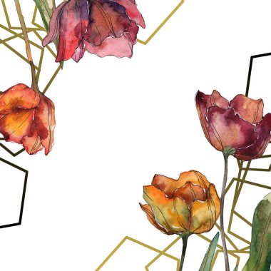 Burgundy haşhaş yaprakları ile izole. Suluboya resim kümesi. Çerçeve kenarlığı süsleme kopya alanı ile.