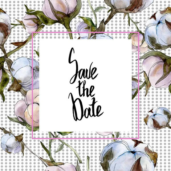 Pamuk botanik çiçek. Vahşi bahar yaprak izole kır çiçeği. Suluboya arka plan illüstrasyon küme. Suluboya çizim moda aquarelle izole. Çerçeve kenarlığı süsleme Meydanı.