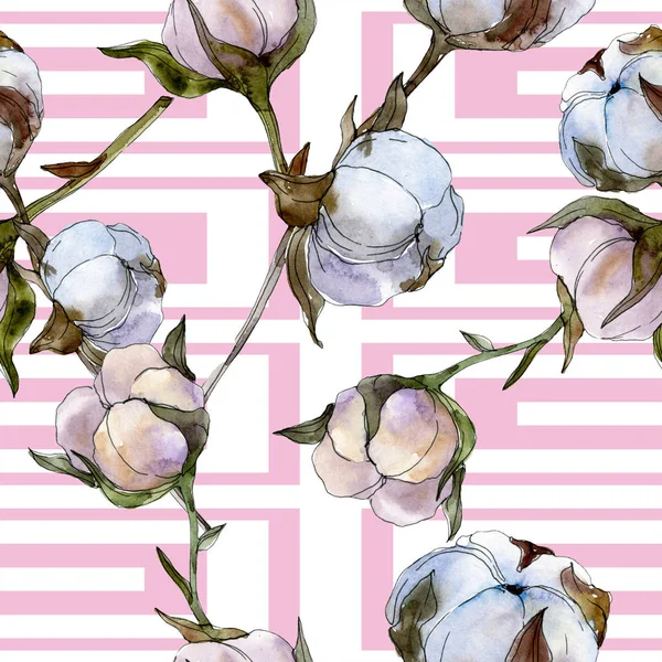 Cotton Floral Botanical Flower Wild Spring Leaf Wildflower Watercolor Illustration — Stock Photo, Image
