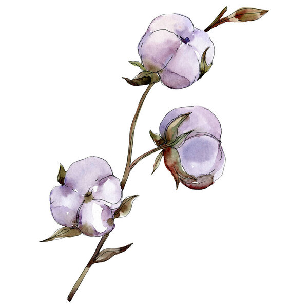 Purple cotton isolated on white. Watercolor background illustration set.