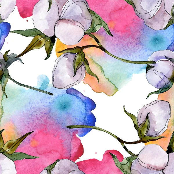 Cotton Flowers Watercolor Background Illustration Set Seamless Background Pattern — Stock Photo, Image