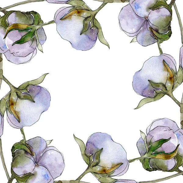 Cotton Flowers Watercolor Illustration Set Frame Border Ornament Copy Space — Stock Photo, Image