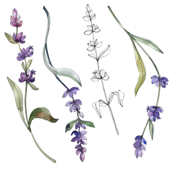Purple lavender. Watercolor illustration set. Seamless background pattern. Fabric wallpaper print texture.