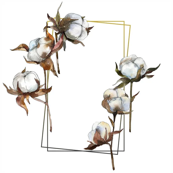 Kapas Bunga Botani Bunga Set Ilustrasi Latar Belakang Cat Air — Stok Foto