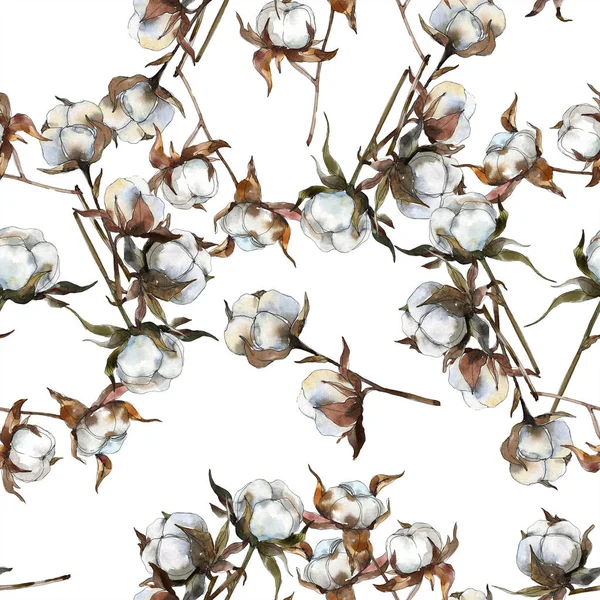 Pamuk botanik çiçek. Suluboya arka plan illüstrasyon küme. Suluboya çizim moda aquarelle izole. Sorunsuz arka plan deseni. Kumaş duvar kağıdı yazdırma doku.