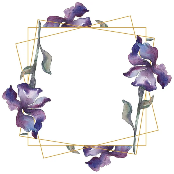 Iris Violet Fleur Botanique Florale Feuille Sauvage Printemps Fleur Sauvage — Photo