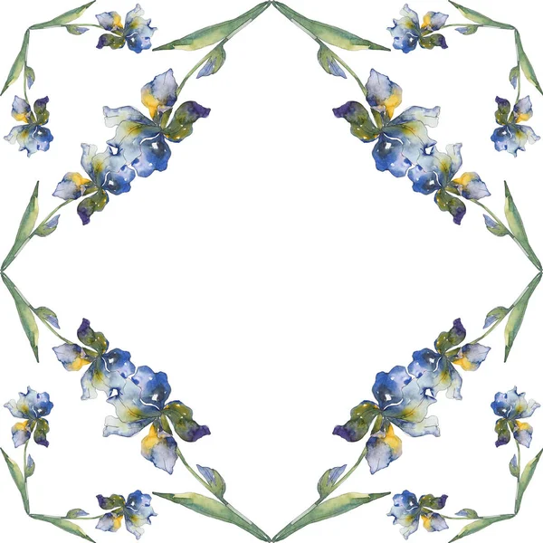 Blue Iris Botaniczny Kwiat Kwiatowy Wiosna Dzikiego Wildflower Liść Białym — Zdjęcie stockowe