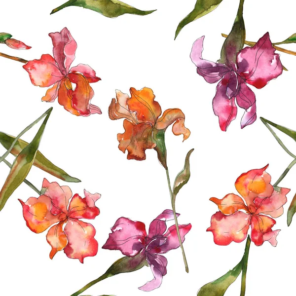 Red Purple Irises Watercolor Illustration Set Seamless Background Pattern Fabric — Stock Photo, Image