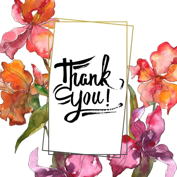 Kırmızı ve mor botanik çiçek. Vahşi bahar yaprak izole kır çiçeği. Suluboya arka plan illüstrasyon küme. Suluboya çizim moda aquarelle izole. Çerçeve kenarlığı süsleme Meydanı.