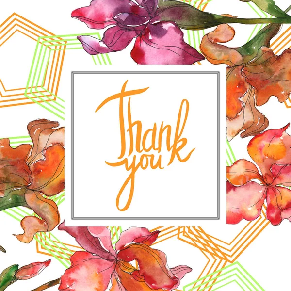 Kırmızı ve mor botanik çiçek. Vahşi bahar yaprak izole kır çiçeği. Suluboya arka plan illüstrasyon küme. Suluboya çizim moda aquarelle izole. Çerçeve kenarlığı süsleme Meydanı.