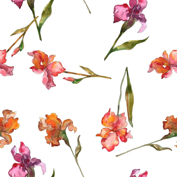 Red Purple Irises Watercolor Illustration Set Seamless Background Pattern Fabric — Stock Photo, Image