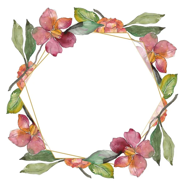 Kamelya kırmızı ve mor çiçekler. Suluboya arka plan illüstrasyon küme. Çerçeve kenarlığı süsleme kopya alanı ile.