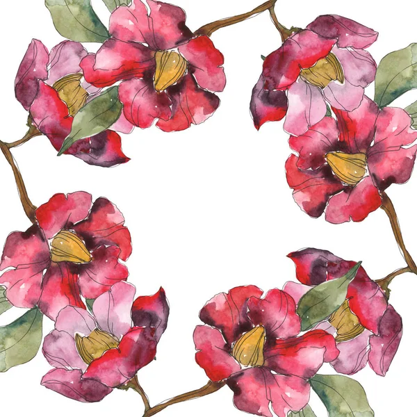 Elszigetelt Piros Camellia Virág Zöld Virágok Akvarell Illusztráció Készlet Test — Stock Fotó
