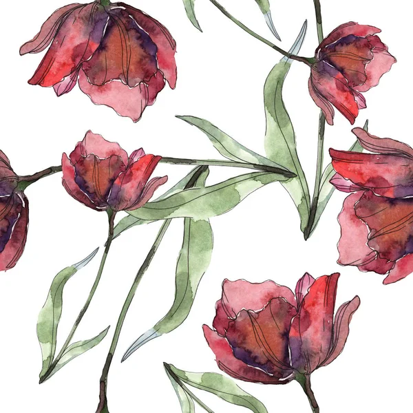 勃艮第和红色孤立的罂粟与叶子 水彩插图集 无缝的背景模式 — 图库照片