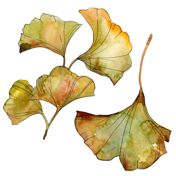 노란색과 은행나무 나뭇잎 수채화 — 스톡 사진
