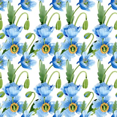 Mavi haşhaş yaprakları ve tomurcukları sorunsuz arka plan ile. Suluboya resim seti. 