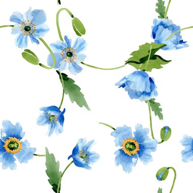 Mavi haşhaş, yaprakları ve tomurcukları sorunsuz arka plan. Suluboya resim seti.  