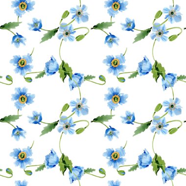 Mavi haşhaş, yaprakları ve tomurcukları sorunsuz arka plan. Suluboya resim seti.  