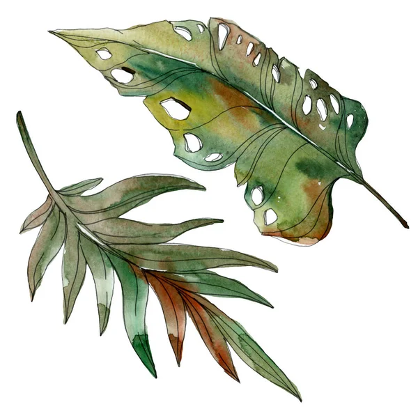 Exotic tropical green palm leaves. Watercolor illustration set. 