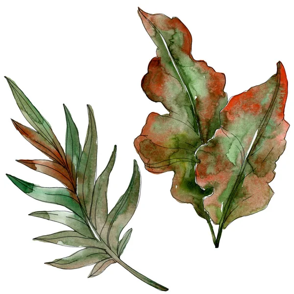 Exotic tropical green palm leaves. Watercolor illustration set. 