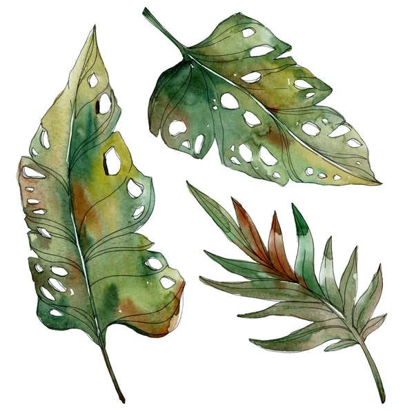 Exotiska Tropiska Isolerade Gröna Palmblad Akvarell Illustration Set — Stockfoto