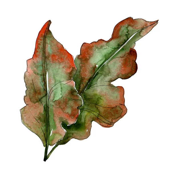 Exotic tropical green palm isolated leaves. Watercolor background illustration.