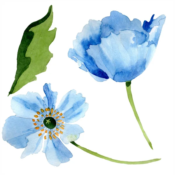 蓝色罂粟与叶子水彩例证与查出的在白色 — 图库照片